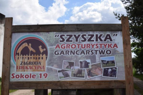Agroturystyka SZYSZKA, Polnica
